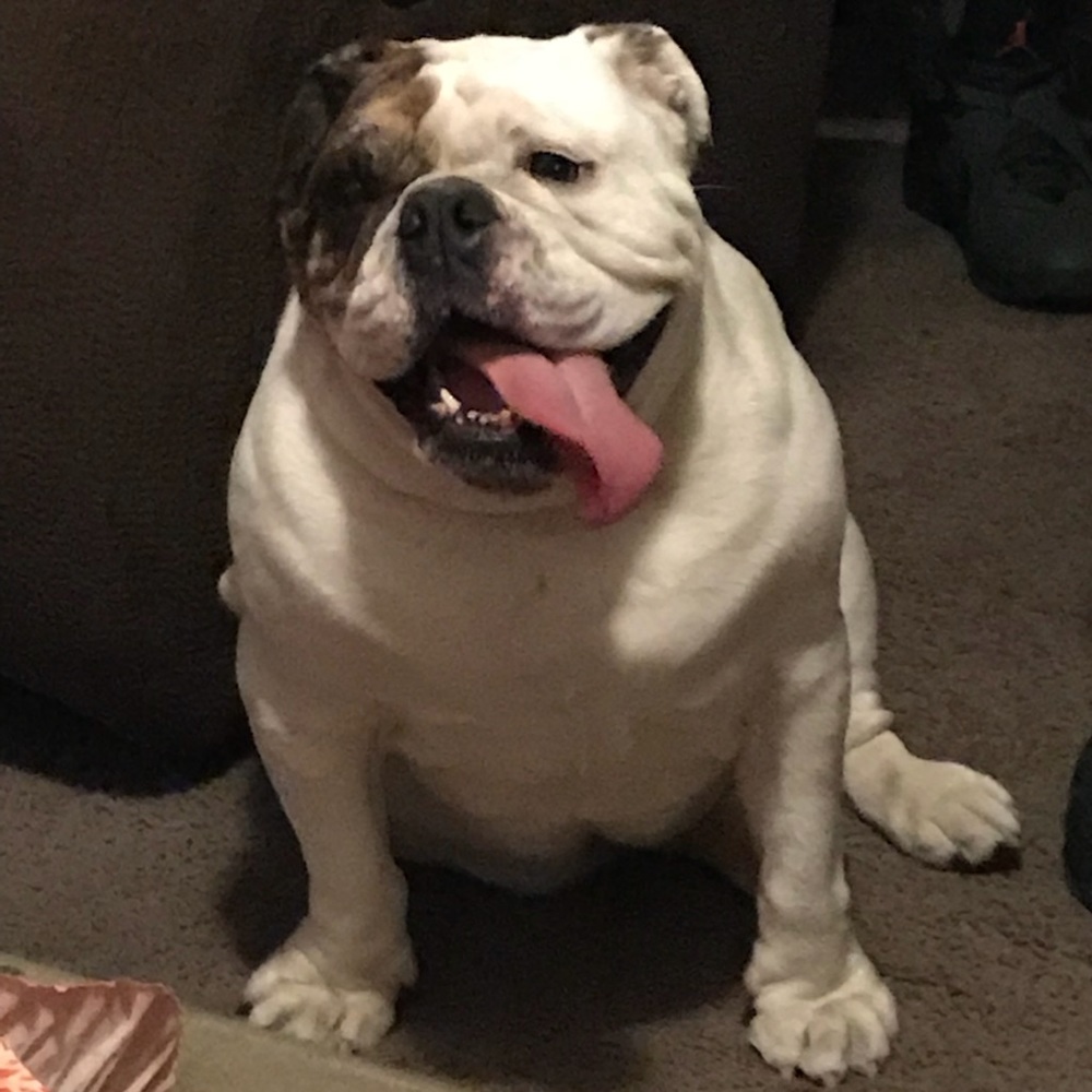 Meet your Posher, Walter